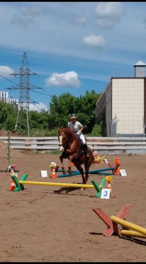 Закрытые соревнования по конному спорту (конкур)